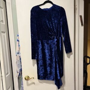 Maggy London Royal Blue Velvet Long Sleeve Dress